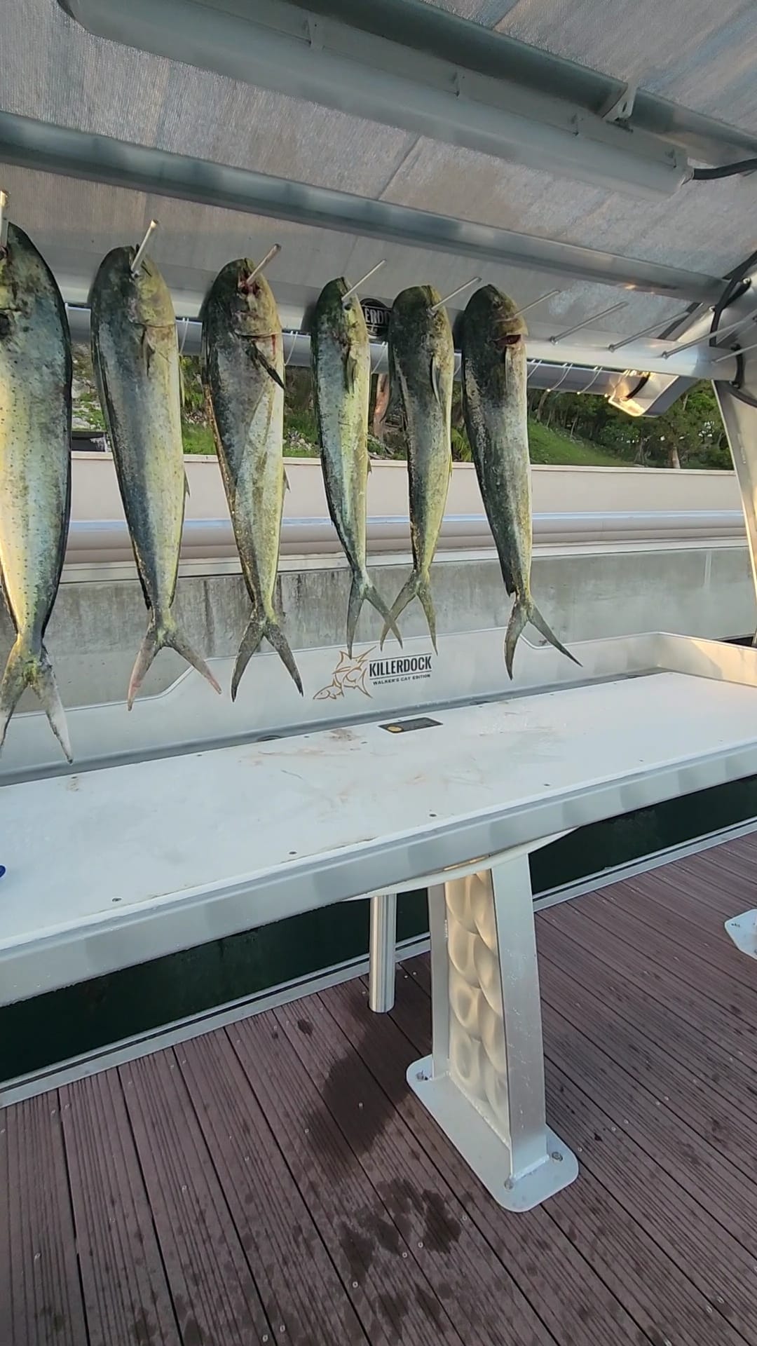 Fish Hanger