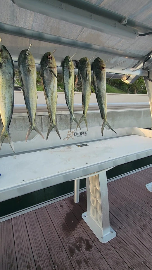 Fish Hanger